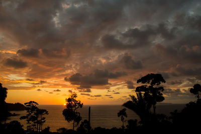 Scenic view of sea against orange sky