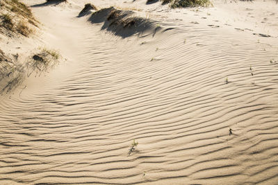 A beautiful sand patterns at the beach of baltic sea