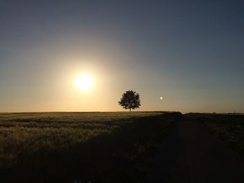 Scenic view of landscape at sunset