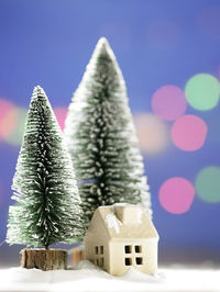 Close-up of christmas trees on table