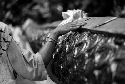 Close-up of woman hand holding leaf