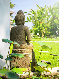 Buddha statue against plants