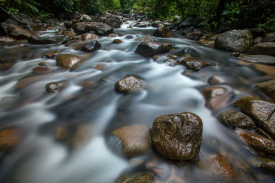 Stream flowing through rocks in forest