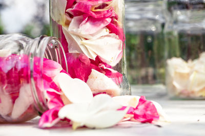 Close-up of pink flowers