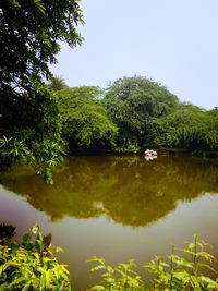 Reflection of trees in lake against sky