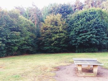 Empty bench in park