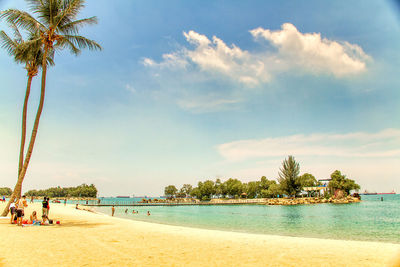 Palm trees on beach against sky