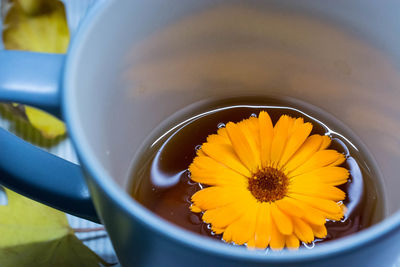 High angle view of yellow flower in bowl