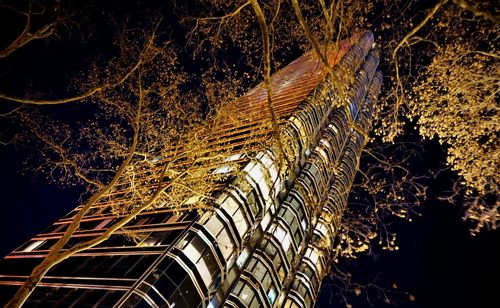 Low angle view of illuminated tree against sky at night