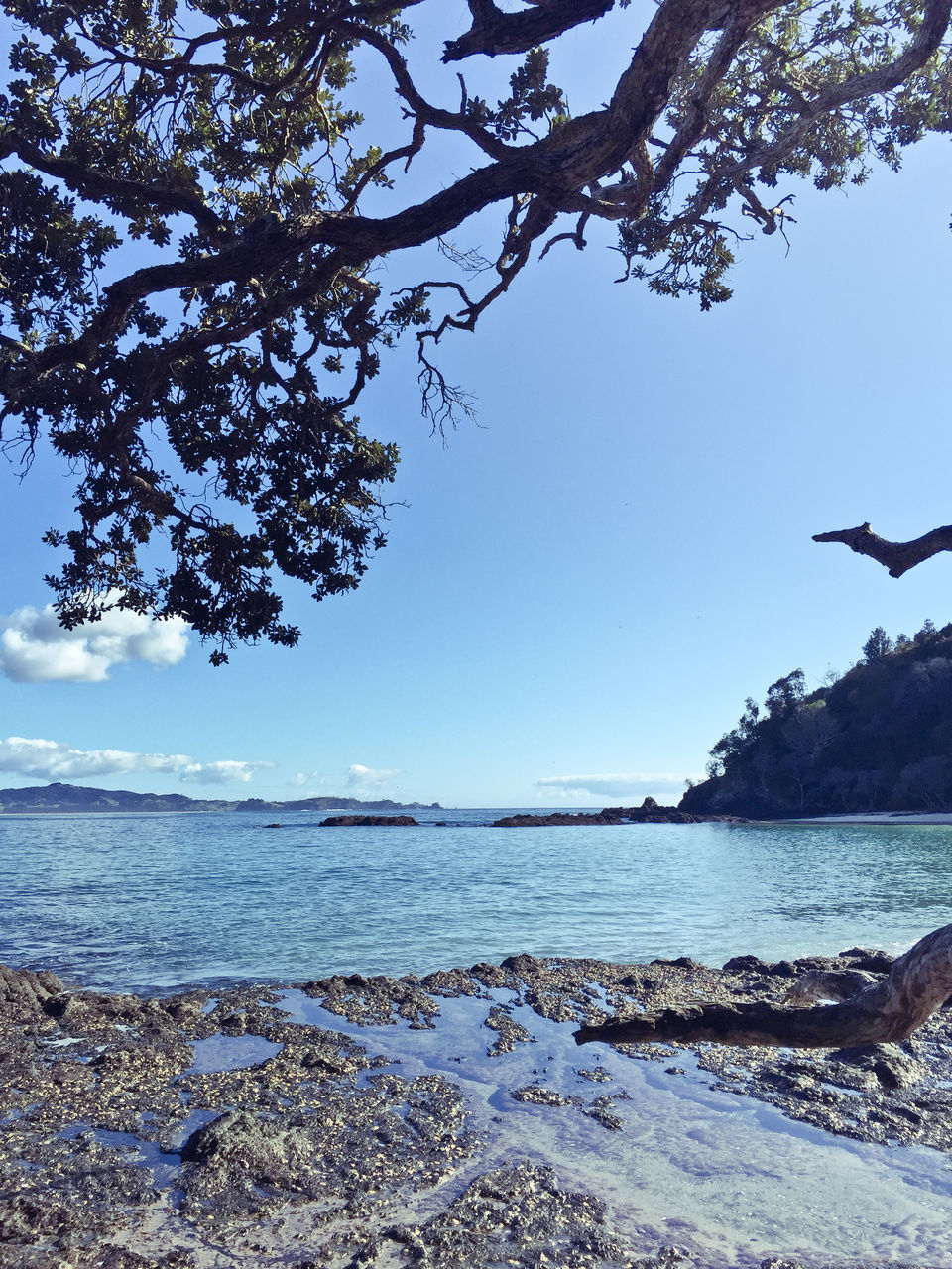 VIEW OF CALM SEA AGAINST CLEAR SKY