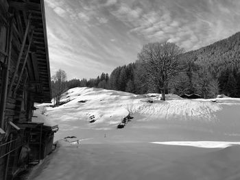 Scenic view of snow covered trees against sky