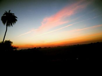 Silhouette of trees at sunset