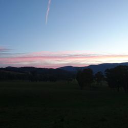 Silhouette trees on field against sky at sunset