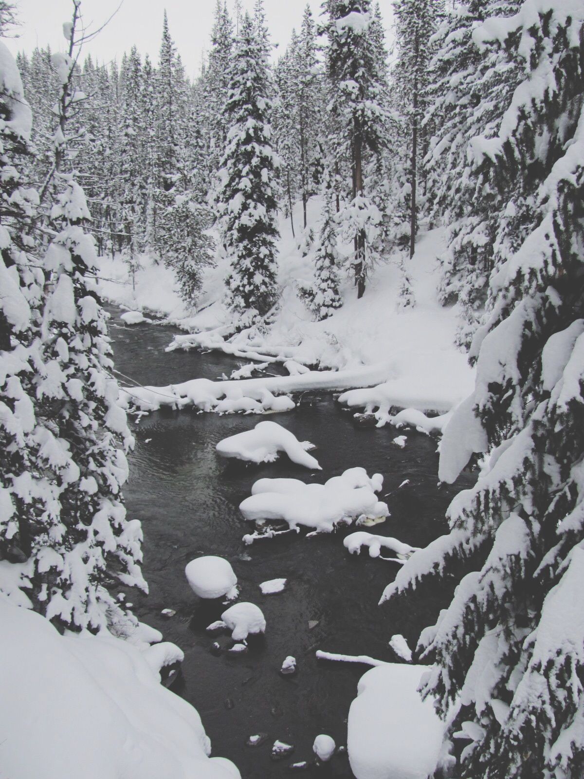 Yellowstone National Park