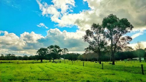 Scenic view of grassy field against cloudy sky