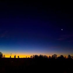 Silhouette trees against sky at night