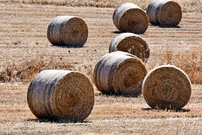 Hay bales on field