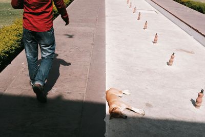 Low section of man walking by dog on footpath at park