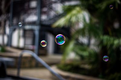 Close-up of bubbles against trees in city