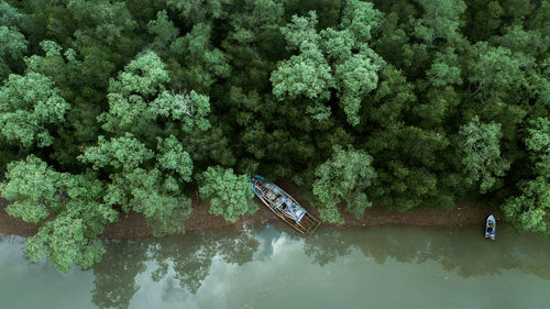 High angle view of trees by sea