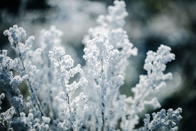 Full frame shot of snow