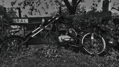 Bicycle parked by tree