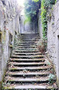 Low angle view of staircase
