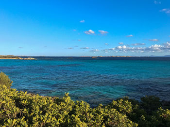 Scenic view of sea against blue sky