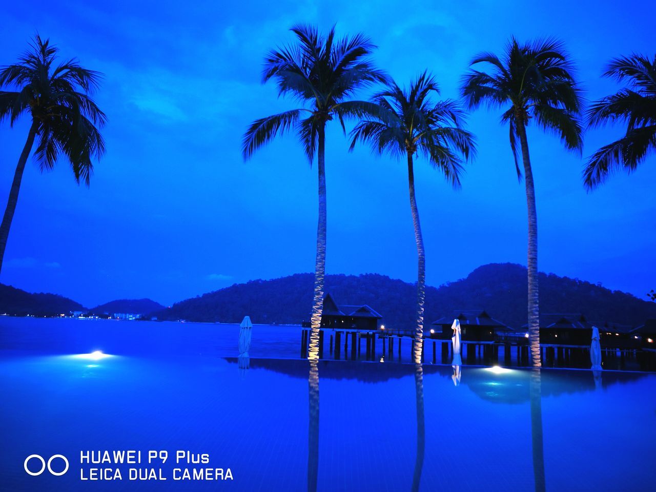 palm tree, tree, water, blue, sky, reflection, sea, scenics, waterfront, beauty in nature, swimming pool, no people, tranquility, nature, outdoors, tranquil scene, mountain, day, beach, architecture, swimming lane marker