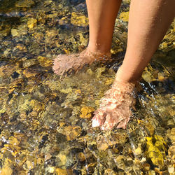 Low section of person standing on wet land