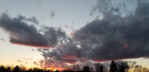 Low angle view of trees against sky during sunset