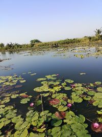 Scenic view of lake against sky