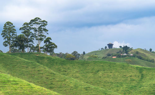 Scenic view of landscape against sky