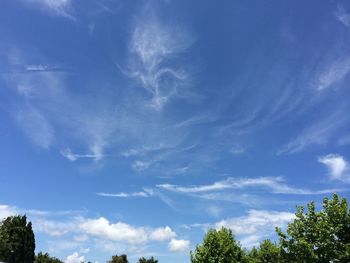 Low angle view of trees against blue sky