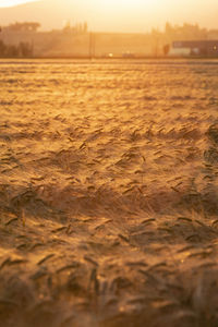 Surface level of land against sky during sunset