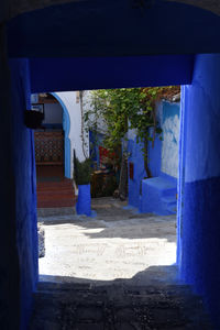 blue