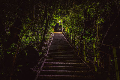 Staircase in forest at night