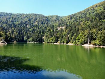 Scenic view of lake by trees against sky