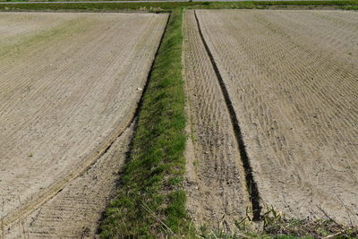 Tire tracks on field