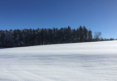 Trees on snow covered landscape against clear sky