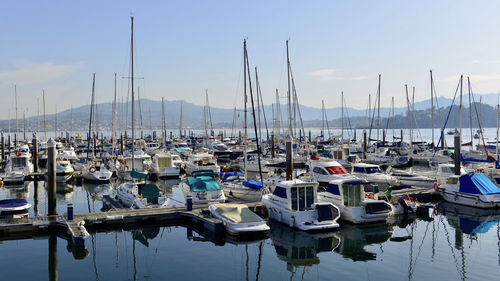 Sailboats moored in harbor