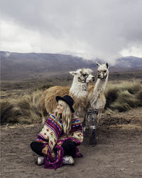 Woman wearing hat sitting by llamas on land