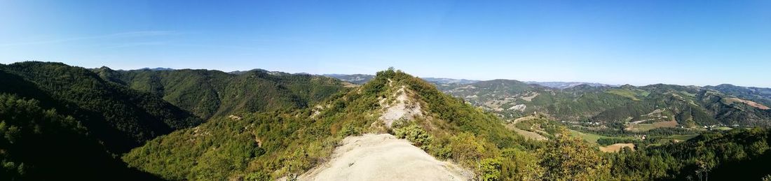 Panoramic view of green landscape against clear blue sky