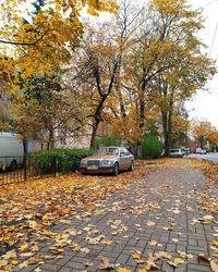 Car parked on street during autumn