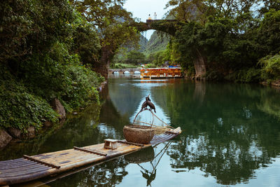 Scenic view of lake in forest