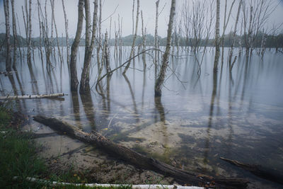 Scenic view of lake during winter