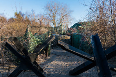 Bare trees on field against sky