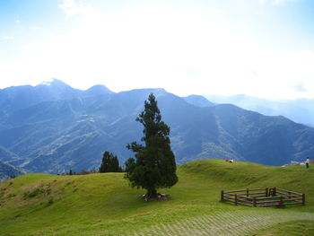 Scenic view of field and mountains against sky