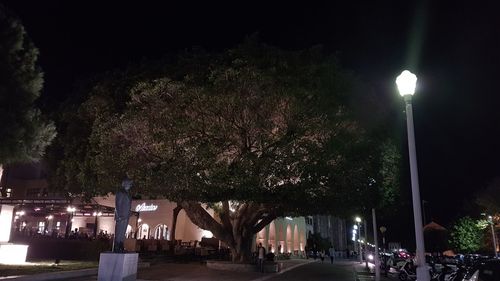 Illuminated christmas tree in city at night