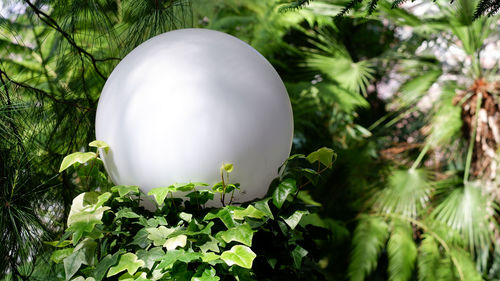 White spherical lantern illuminates the garden against the background of green plants in the city.